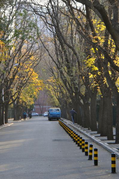 DSC_0467.JPG