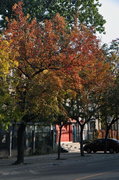 DSC_0478.JPG