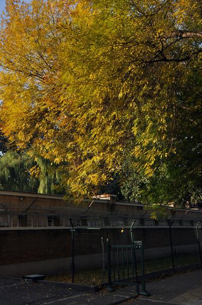 DSC_0497.JPG