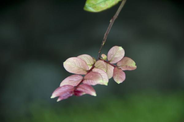 DSC_0428.jpg