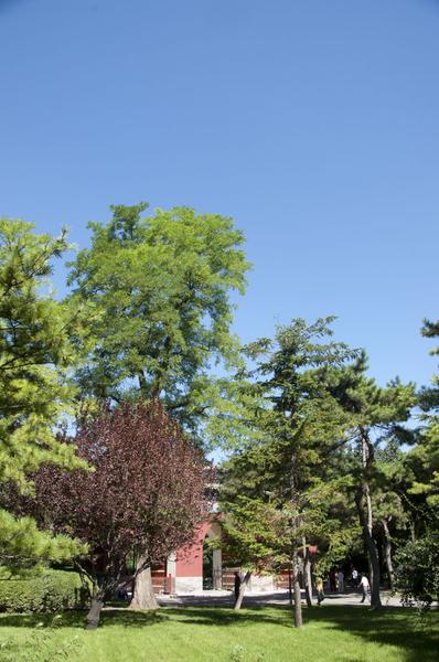 DSC_0379.jpg