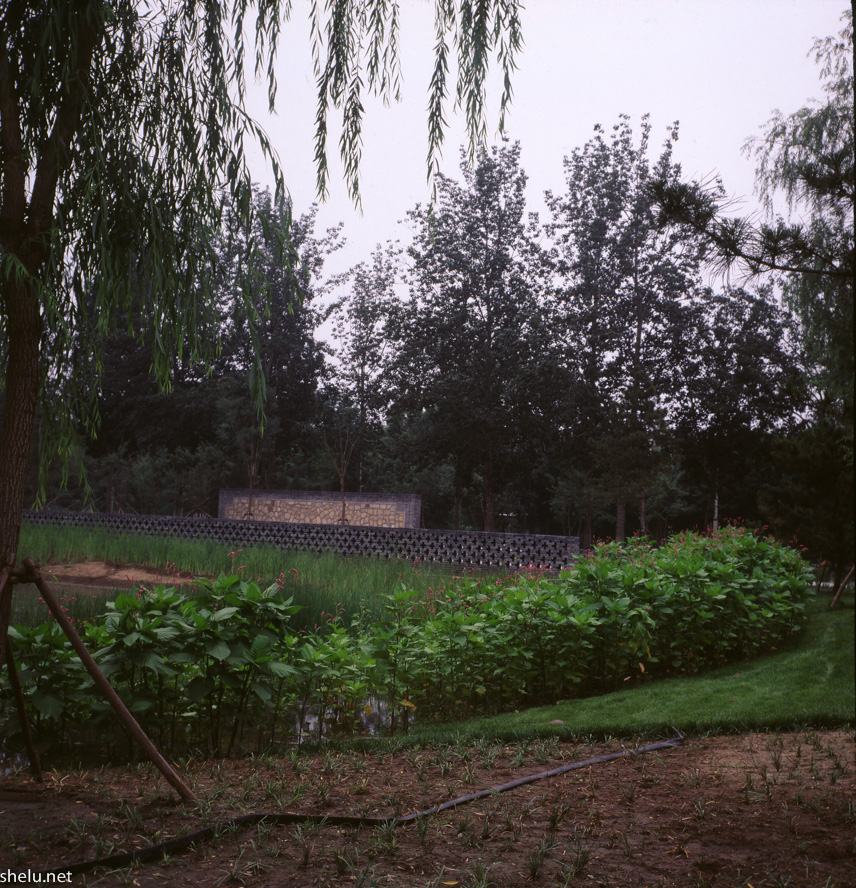 07_Rolleiflex 3.5F_Zeiss Planar 75-3.5_75 mm_ISO 50_1-100 秒 (f - 8.0)___.jpg